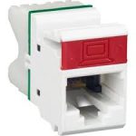 Siemon cat 6 modules