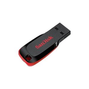 SanDisk 16GB Cruzer Blade Electric Flash Drive