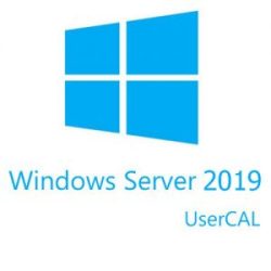 Microsoft Project SvrCAL 2019 SNGL OLP NL UsrCAL