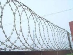 12m Flattrap razor Wire