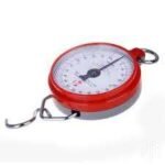 Hanson 100KG Weighing Scale Hook type