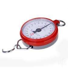 Hanson 100KG Weighing Scale Hook type