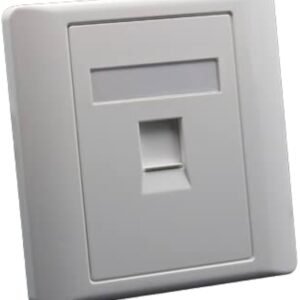 RJ11 Telephone and Data Faceplate